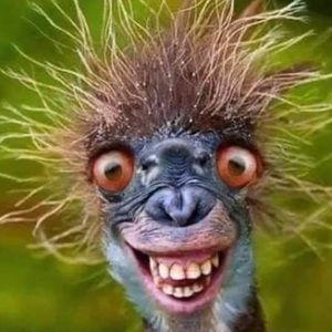 Meet your Posher, Cory